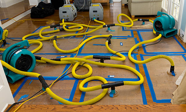 Professional Water Extraction technician working in Winfield, MO
